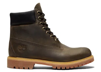 Pre-owned Timberland Men's  6" Premium Waterproof Boot Sneakers In Dark Olive