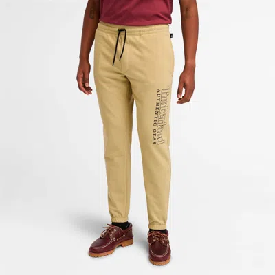 Timberland Men's Us Graphic Brushback Sweatpant In Multi