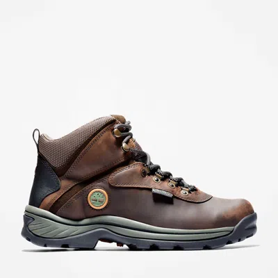 Timberland Men's White Ledge Waterproof Mid Hiker Boot In Brown