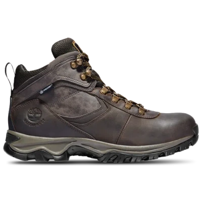 Timberland Mens  Mt. Maddsen Mid In Brown