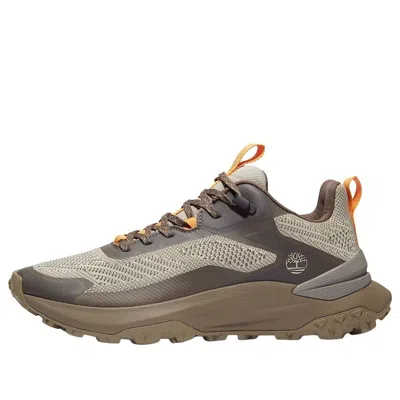 Timberland Motion Access Trainer 'gray Brown' In Multi