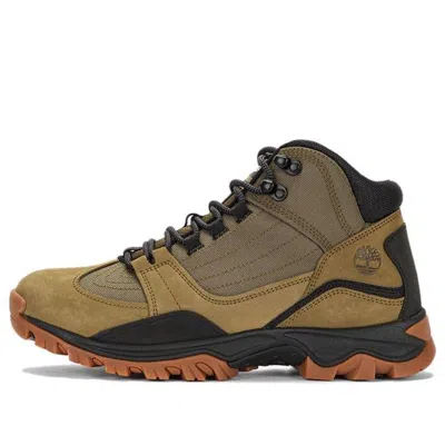 Timberland Mt. Maddsen Mid Lace Up Hiking Boots 'olive Nubuck' In Brown
