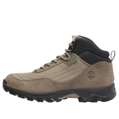 Timberland Mt. Maddsen Waterproof 'medium Beige Mesh' In Gray