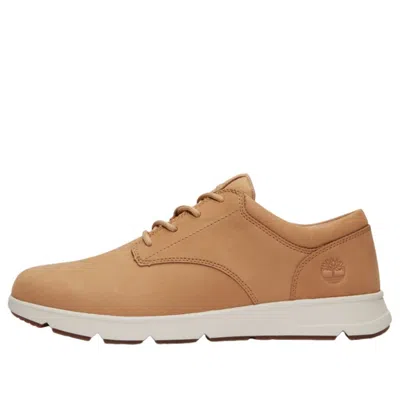Timberland Parker Street Trainers 'wheat' In Neutral