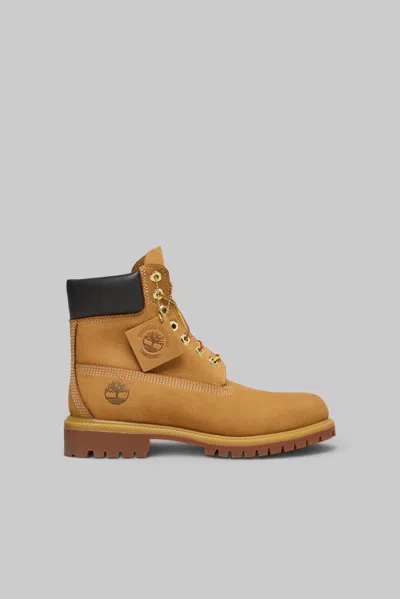 Timberland Prem 6 In Lace Waterproof Boot Wh In Brown