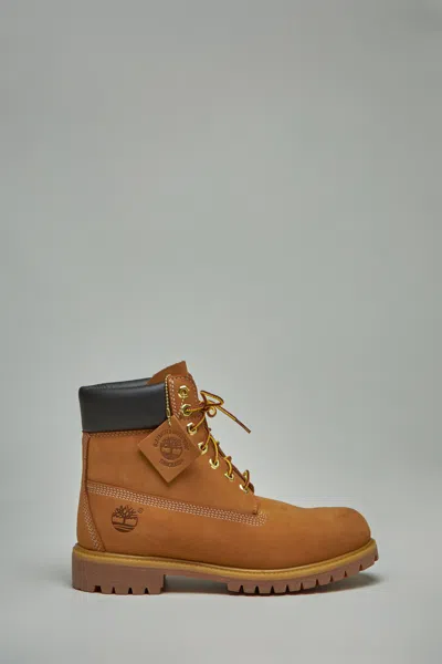 Timberland Premium 6 Inch Lace Up Waterproof Boot In Brown
