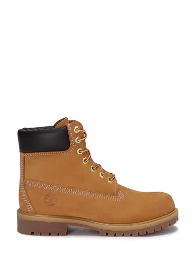 Timberland Premium 6 Inch Lace Up Waterproof In Brown