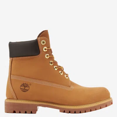 Timberland Premium 6-inch Leather Boots With Logo In Brown