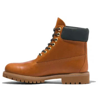 Timberland Premium 6 Inch Waterproof Boot 'brown' In Multi