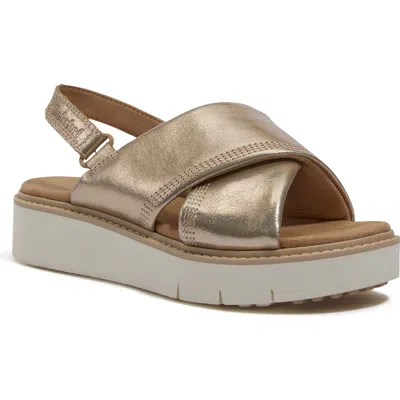 Timberland Safari Dawn Slingback Sandal In Gold Metallic