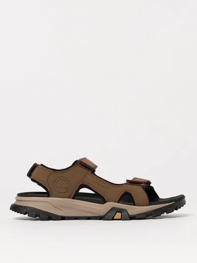 Timberland Sandals  Men Color Brown