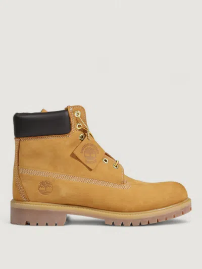 Timberland Scarpe  Uomo Colore Beige