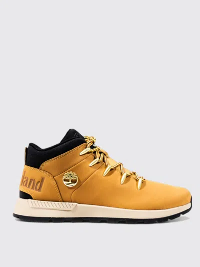 Timberland Sneakers  Men Color Yellow