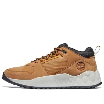 Timberland Solar Wave Sneaker 'wheat' In Brown
