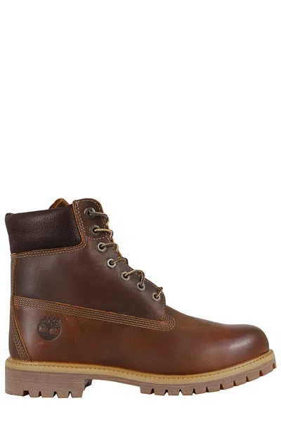Timberland Stivale Premium 6 Inch Waterproof Boots In Brown