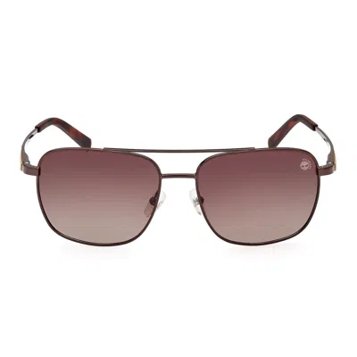 Timberland Sunglasses In Brown