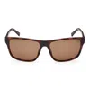 Timberland Sunglasses In Havana