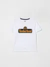 Timberland T-shirt  Kids Color White In Gray