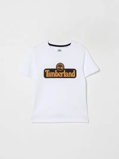 Timberland T-shirt  Kids Color White In Gray