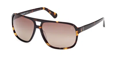Timberland Tb00031 Polarized 52h Men's Sunglasses Tortoiseshell Size 65 In Gold