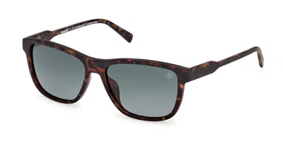Timberland Tb00052-h Polarized 52d Occhiali Da Sole Tartarugatishell Per Uomo In Brown