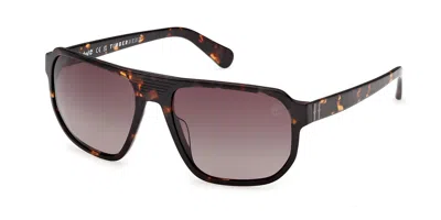Timberland Tb00075 Polarized 52h Occhiali Da Sole Tartarugatishell Per Uomo In Brown