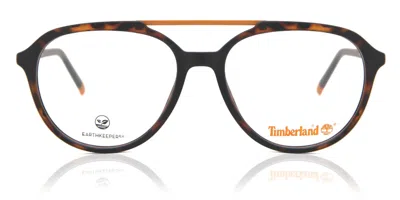 Timberland Tb1618 Men's Glasses, Tortoiseshell, Size 54 In Brown
