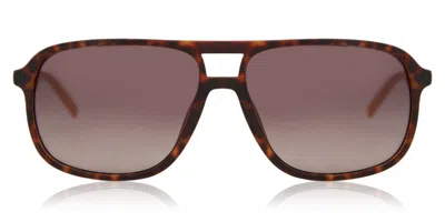 Timberland Tb9200 Polarized 52h Occhiali Da Sole Tartarugatishell Per Uomo In Brown