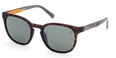 Timberland Tb9274 Polarized 52h Occhiali Da Sole Tartarugatishell Per Uomo In Brown