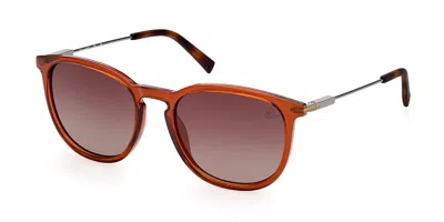 Timberland Tb9291-h Polarized 48h Men's Sunglasses Brown Size 55 In Transparent Brown