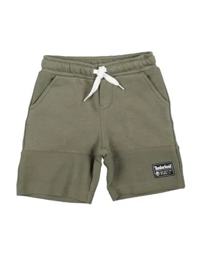 Timberland Babies'  Toddler Boy Shorts & Bermuda Shorts Military Green Size 6 Cotton, Polyester