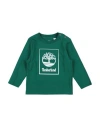 Timberland Babies'  Toddler Boy T-shirt Green Size 3 Cotton, Elastane