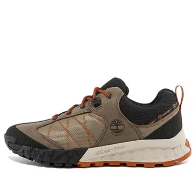 Timberland Trailquest 'brown'