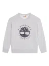 Timberland Tree-logo Sweatshirt In Gray