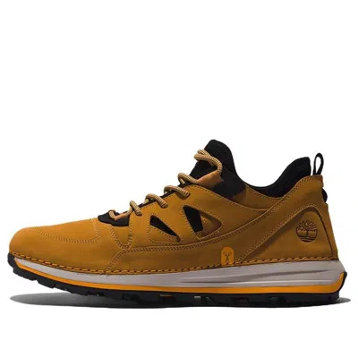 Timberland Trekker City Hikers In Brown