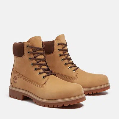Timberland Tronchetto And Booty Man  Tb0a6ch6em51 Tb25 6 In Lace Waterproof Medium Brown
