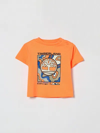 Timberland Babies'  T-shirt Kids In Orange