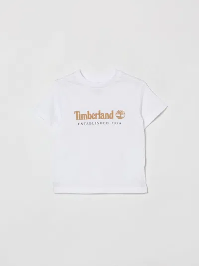 Timberland T-shirt  Kids Color White