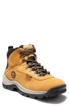 Timberland White Ledge Mid Waterproof Hiking Boot In Wheat