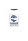 Timberland White T-shirt For Boy With Logo In White