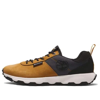 Timberland Winsor Trail Low Leather Sneakers 'wheat' In Multi