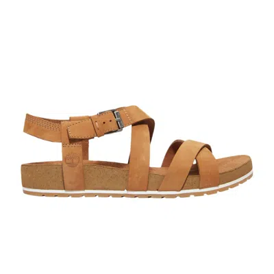 Pre-owned Timberland Wmns Malibu Waves Ankle-strap Sandal 'saddle Brown' | Women's Size 5.5