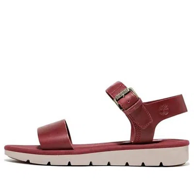 Timberland (wmns)  Lotty Lou Sandal 'wine Red'