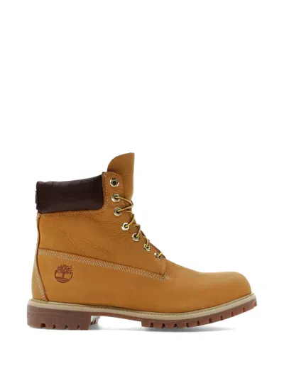 Timberland 6" Premium Hiking Boots In Brown