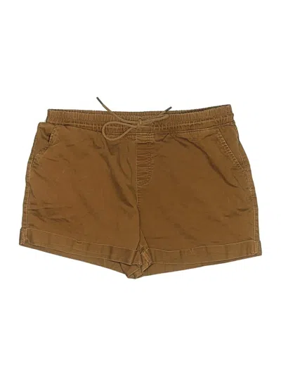 Pre-owned Time And Tru Khaki Shorts In Brown