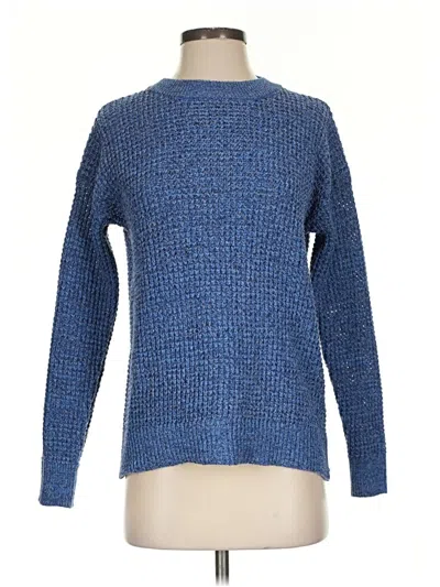 Pre-owned Time And Tru Pullover Sweater In Blue