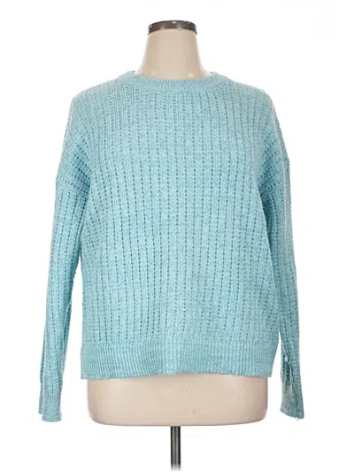Pre-owned Time And Tru Pullover Sweater In Blue