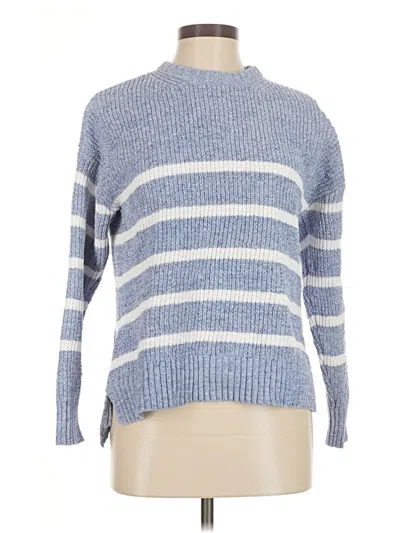 Pre-owned Time And Tru Pullover Sweater In Blue