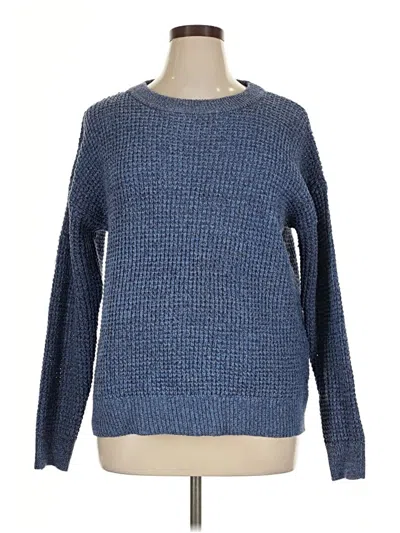 Pre-owned Time And Tru Pullover Sweater In Blue
