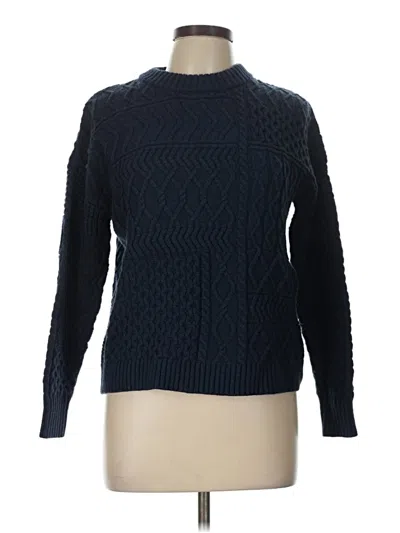 Pre-owned Time And Tru Pullover Sweater In Blue